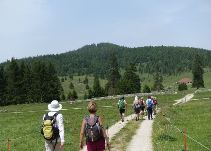 Un paradis pour la randonnée pédestre