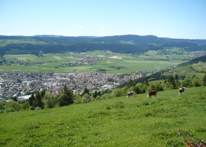 Le Mont-Vouillot un point vue proche de la Miellerie